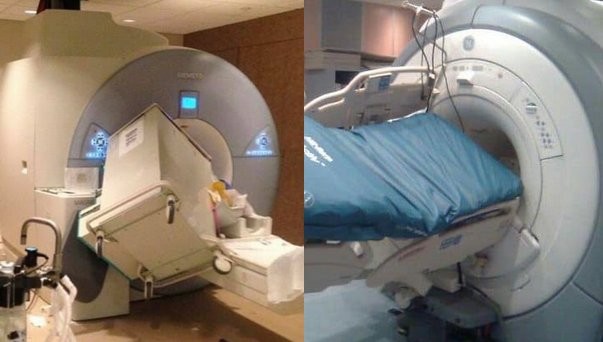 imagem anatomia humana 