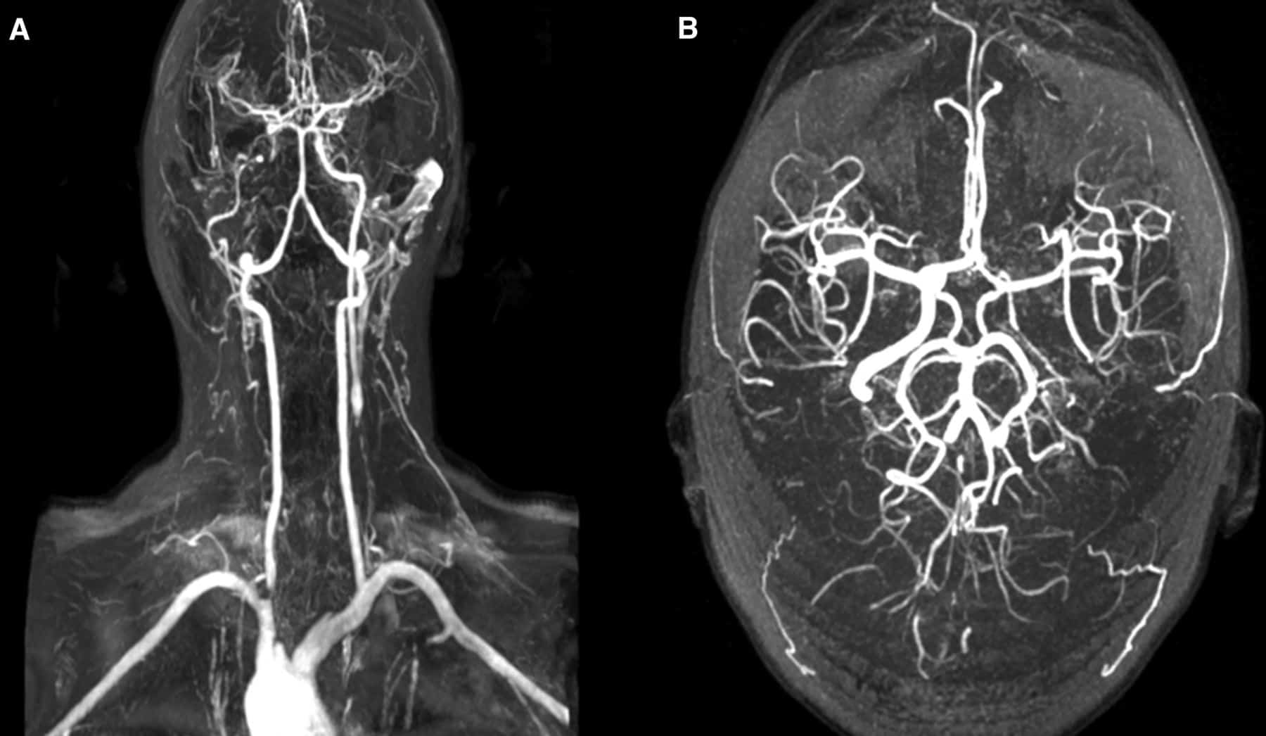 Estudantes de concursos