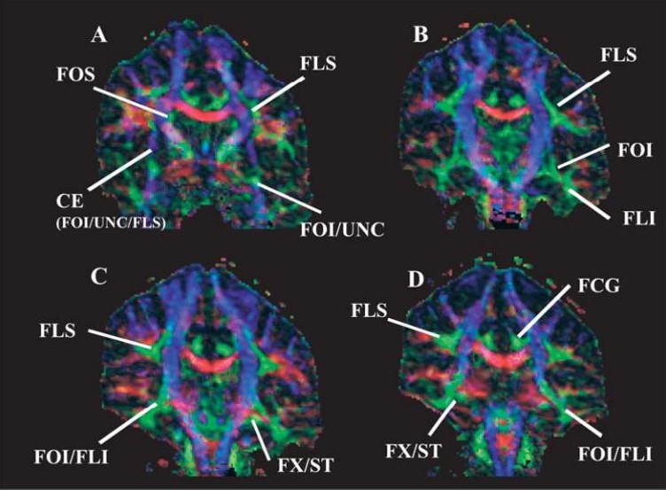 setores da radiologia 